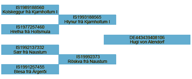 Stammbaum Hugi